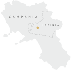 estate-location-campania